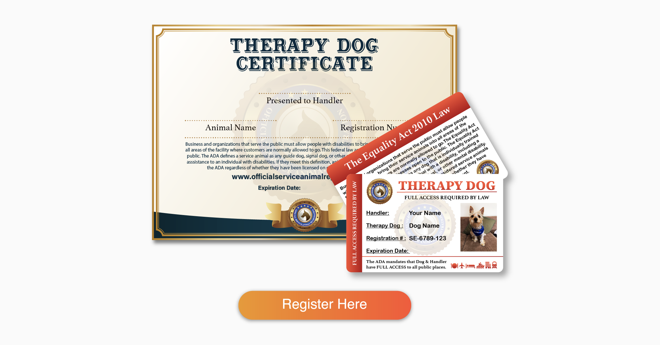 Therapy Dog Identification