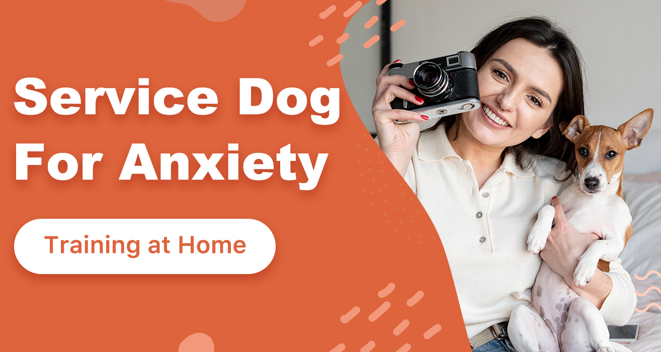 service dog for anxiety