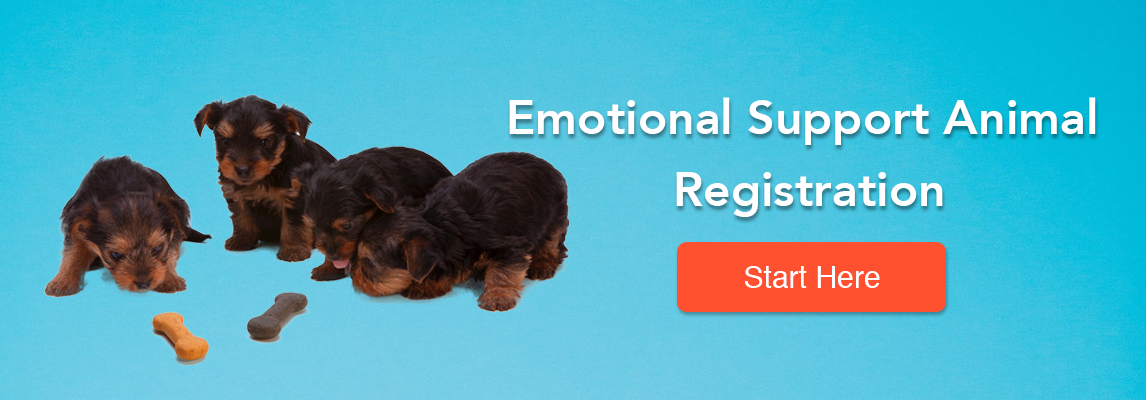 Emotional Support Animal Registration