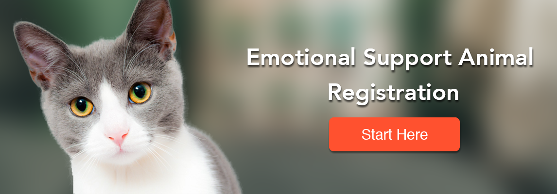 Emotional Support Animal Registration