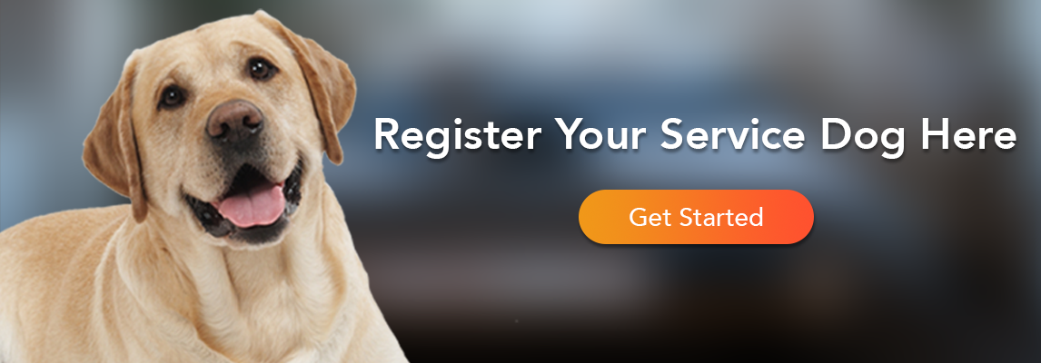 Service dog registration