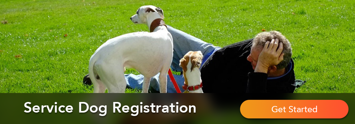 service dog registration