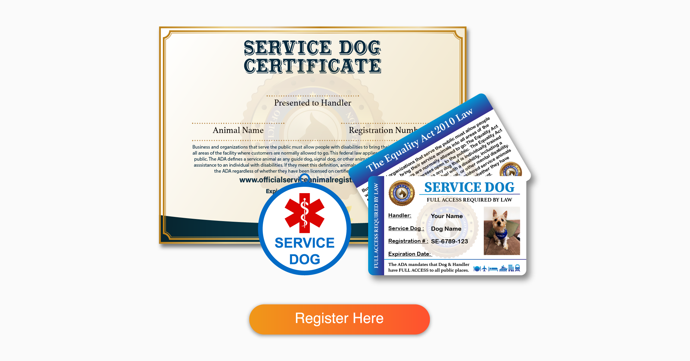 Service dog certification