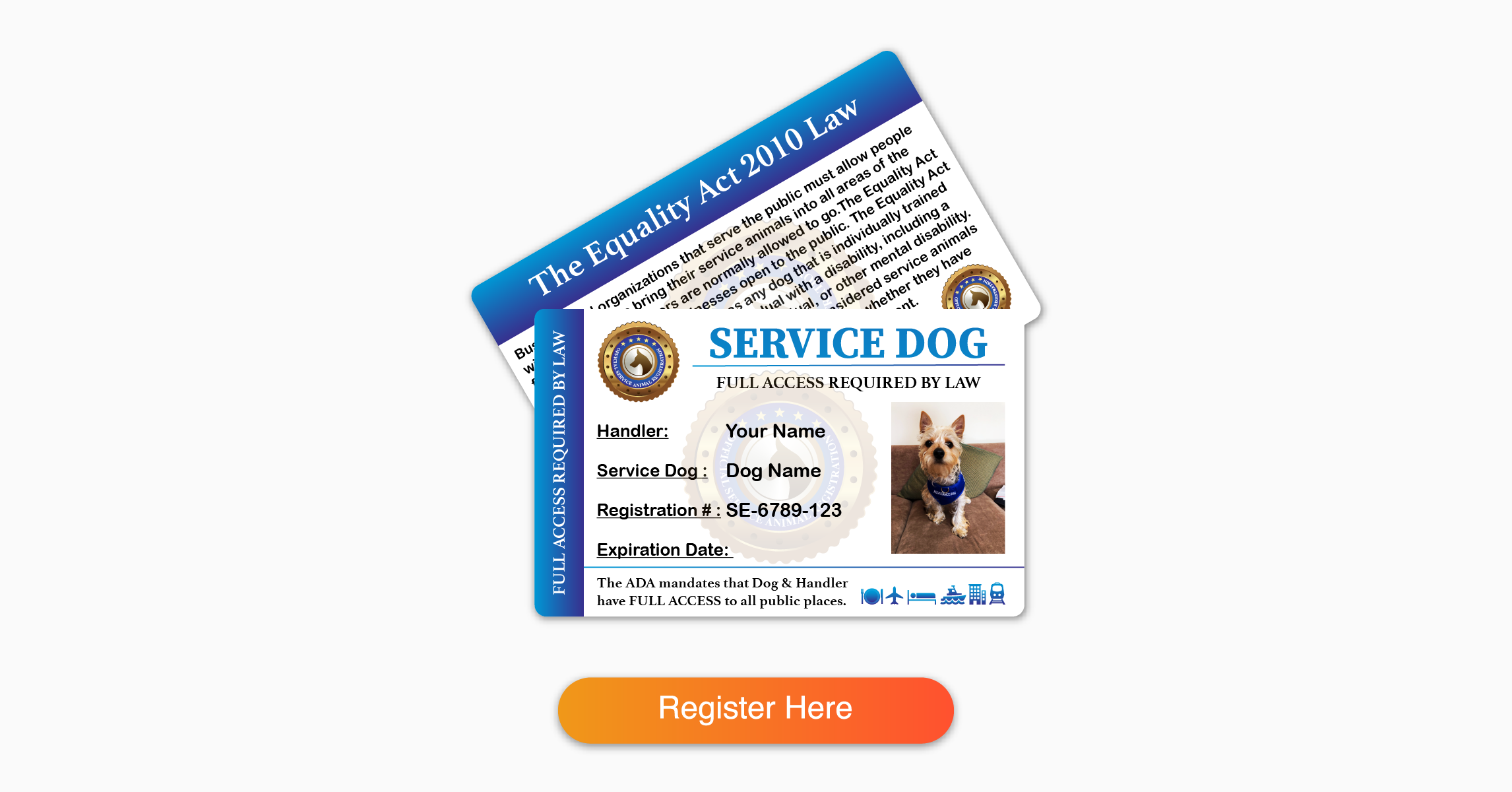 Service Dog Identification