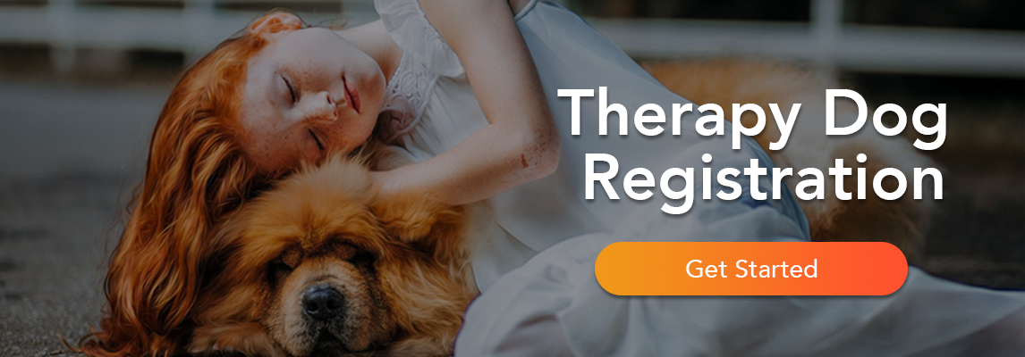 Therapy Dog Registration