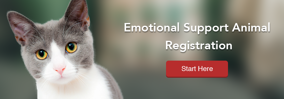 Emotional Support Animal Registration