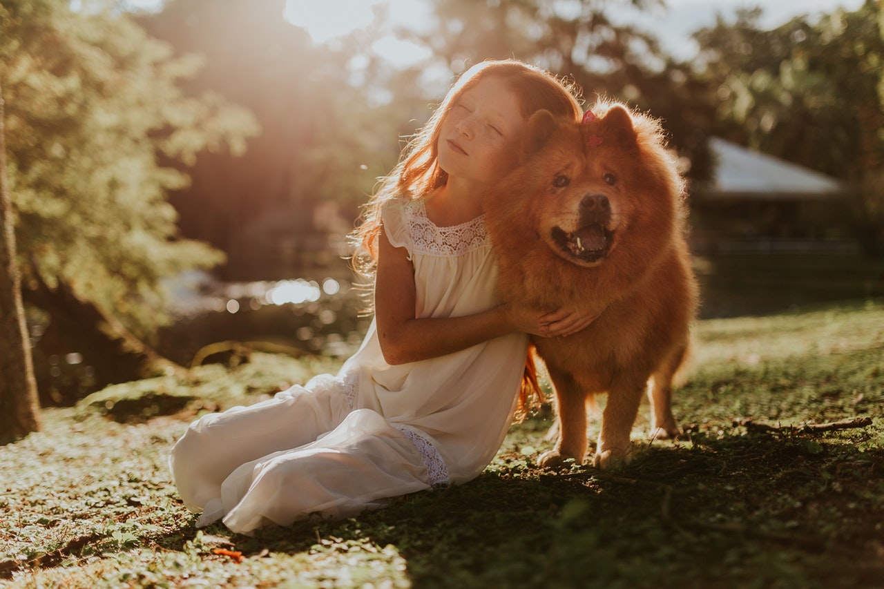 therapy dog registration