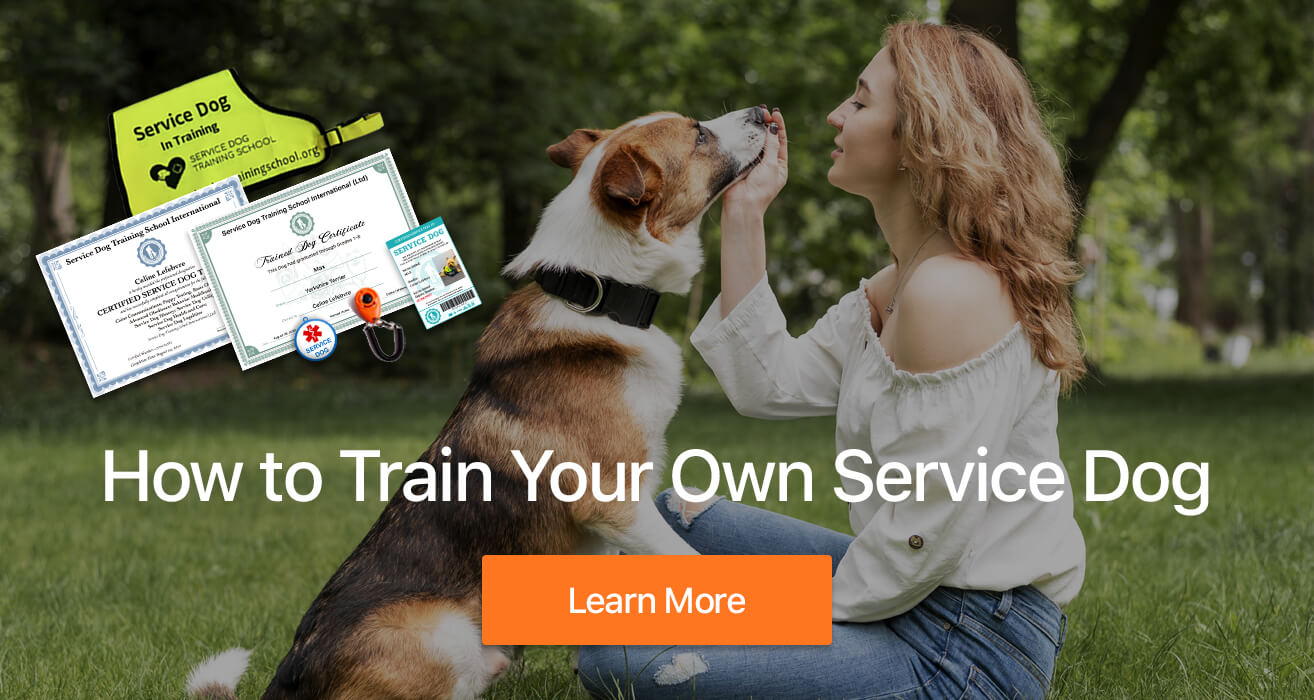 psychiatric service dog training