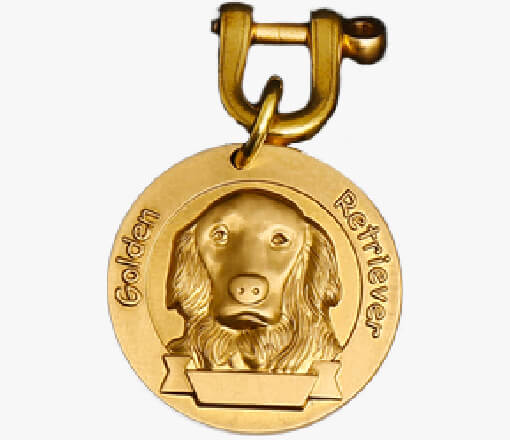 https://www.supportdogcertification.org/product/bronze-dog-id-tags